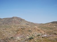 DSC 2503