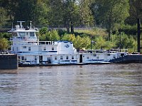 DSC 1016
