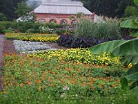 DSC 0306