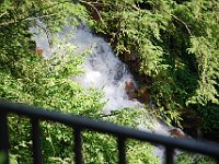 DSC 7935