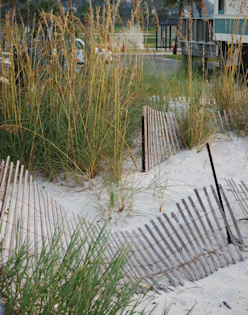 By the dunes